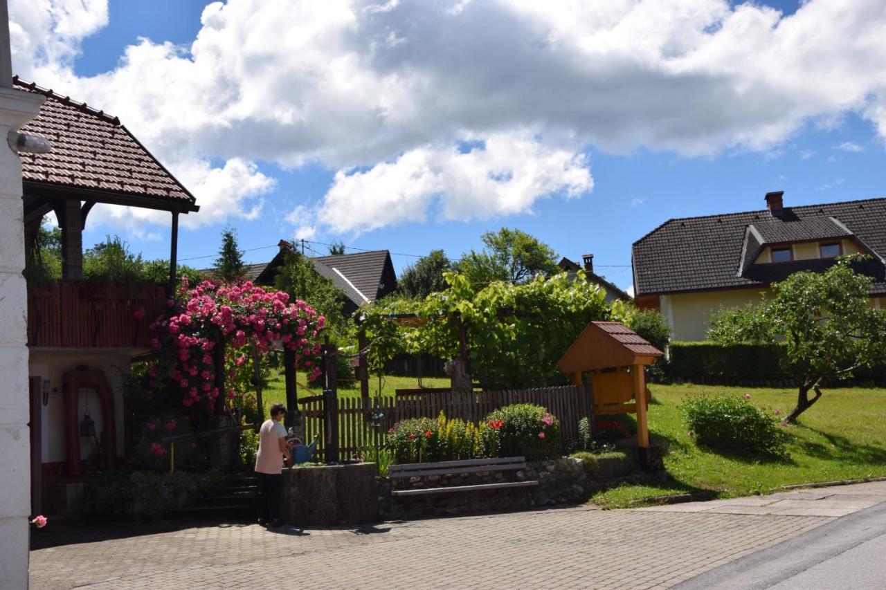 Apartments Pri Bostjanovcu Gorenja Vas エクステリア 写真