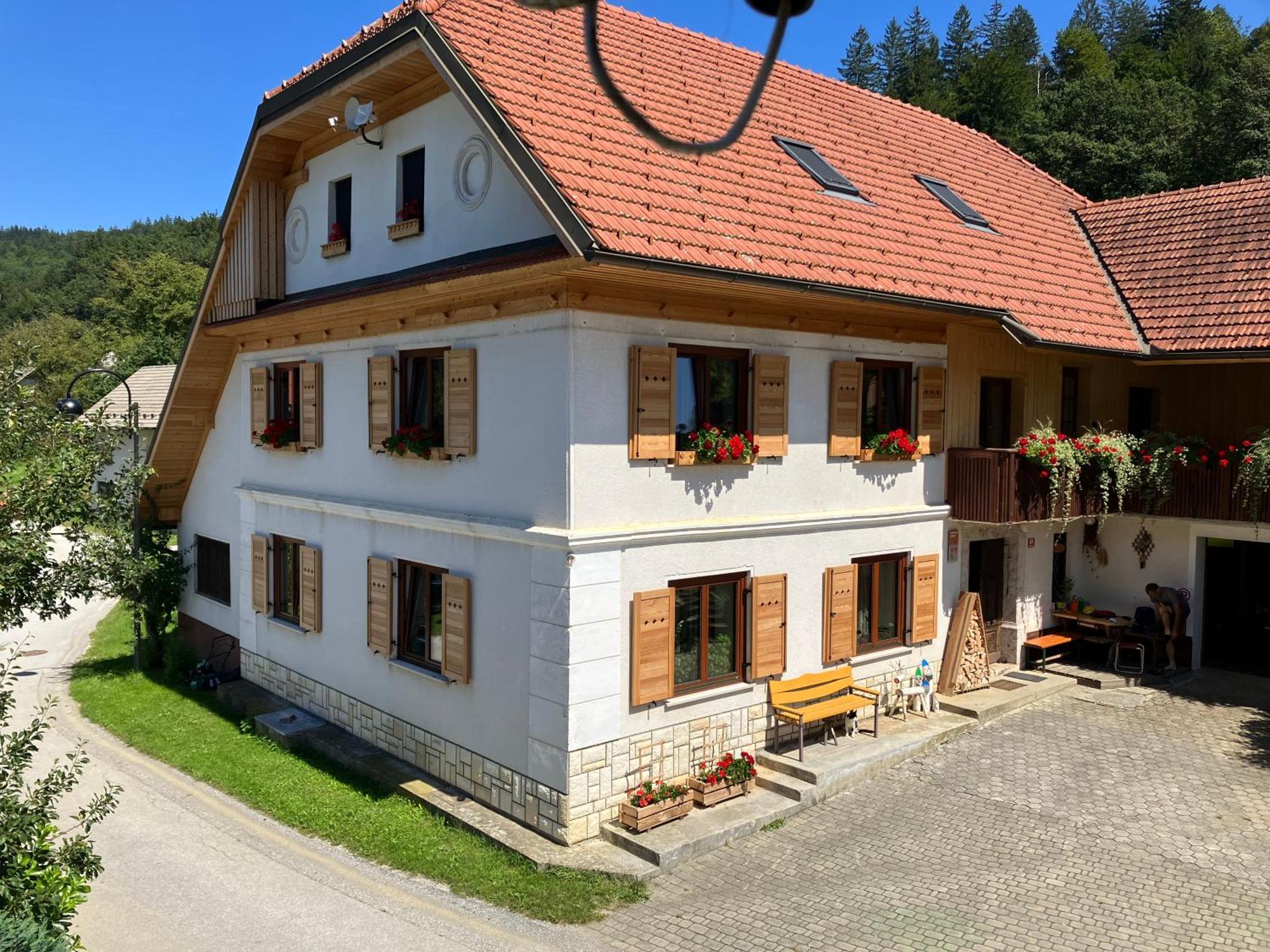 Apartments Pri Bostjanovcu Gorenja Vas エクステリア 写真