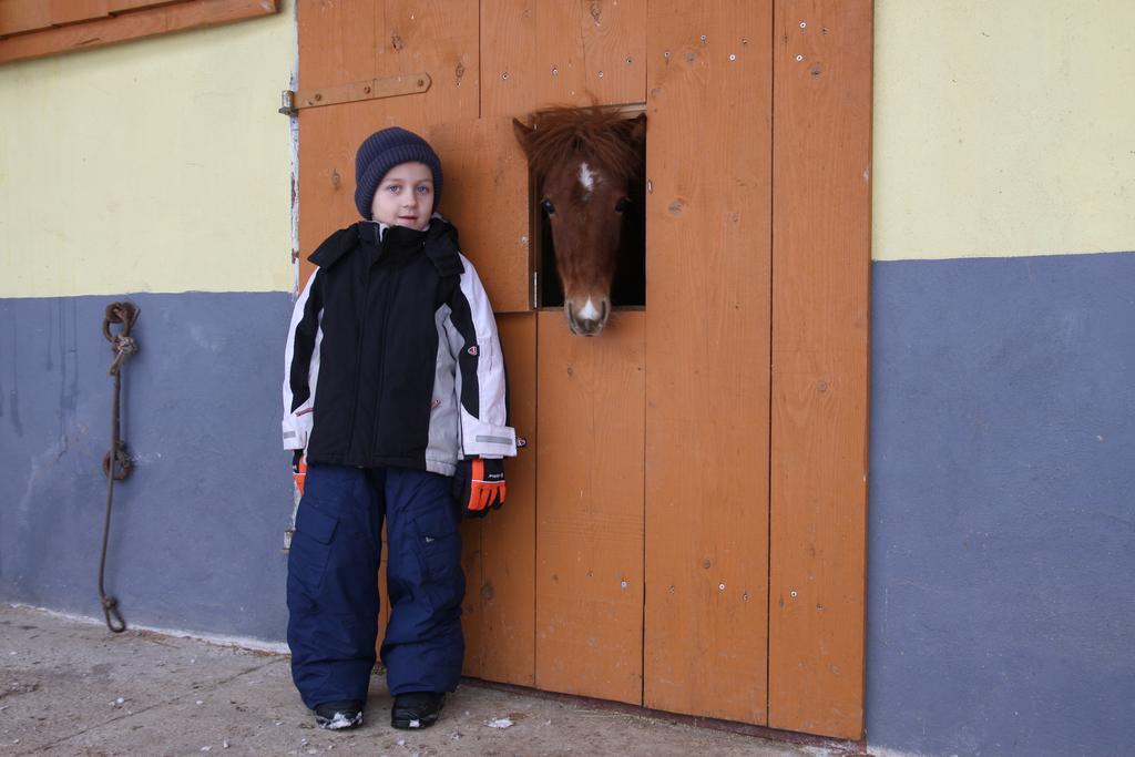 Apartments Pri Bostjanovcu Gorenja Vas エクステリア 写真