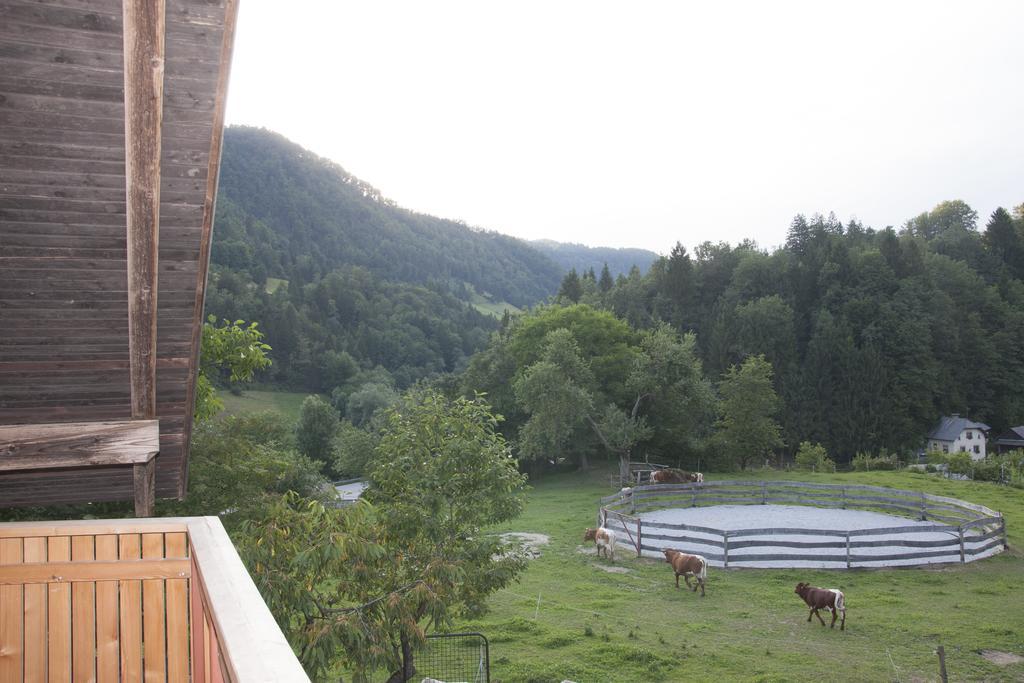 Apartments Pri Bostjanovcu Gorenja Vas エクステリア 写真