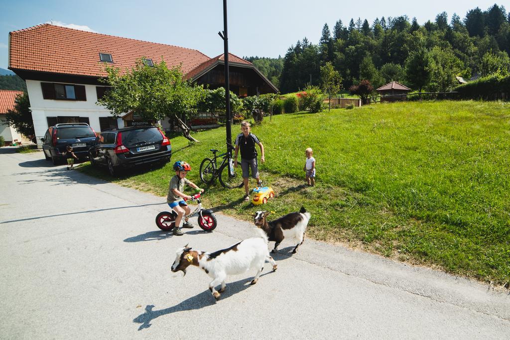 Apartments Pri Bostjanovcu Gorenja Vas エクステリア 写真